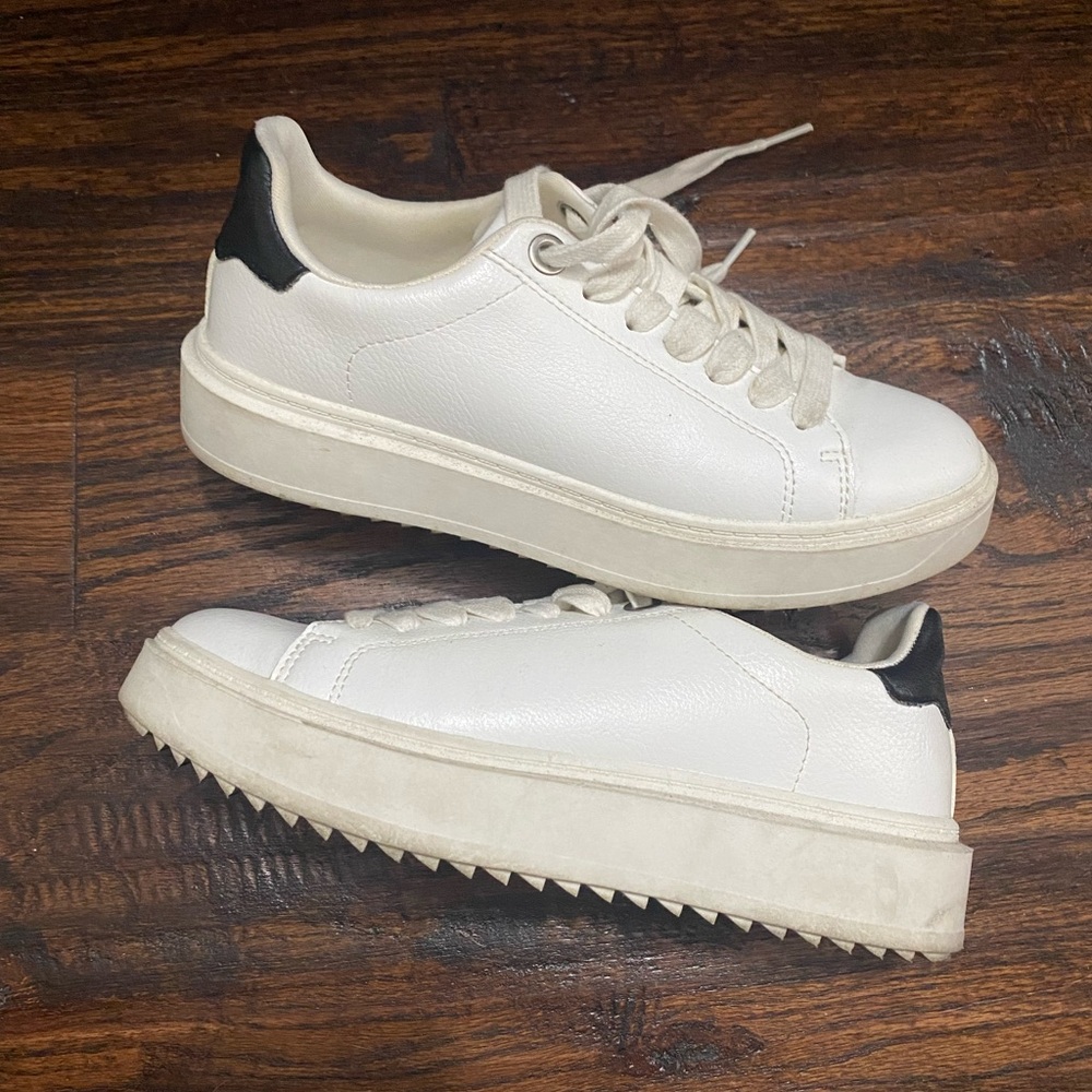 Steve Madden Camden Sneaker